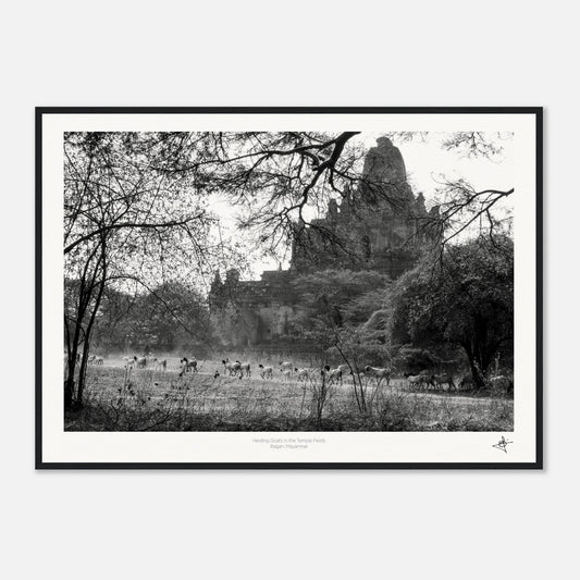 0df5012e-cdc6-435b-aeed-0097f79902e2